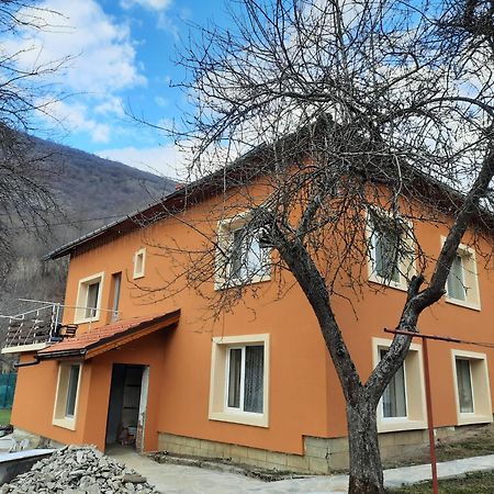 Guest House Lazar Raykov Ribarița Exterior foto
