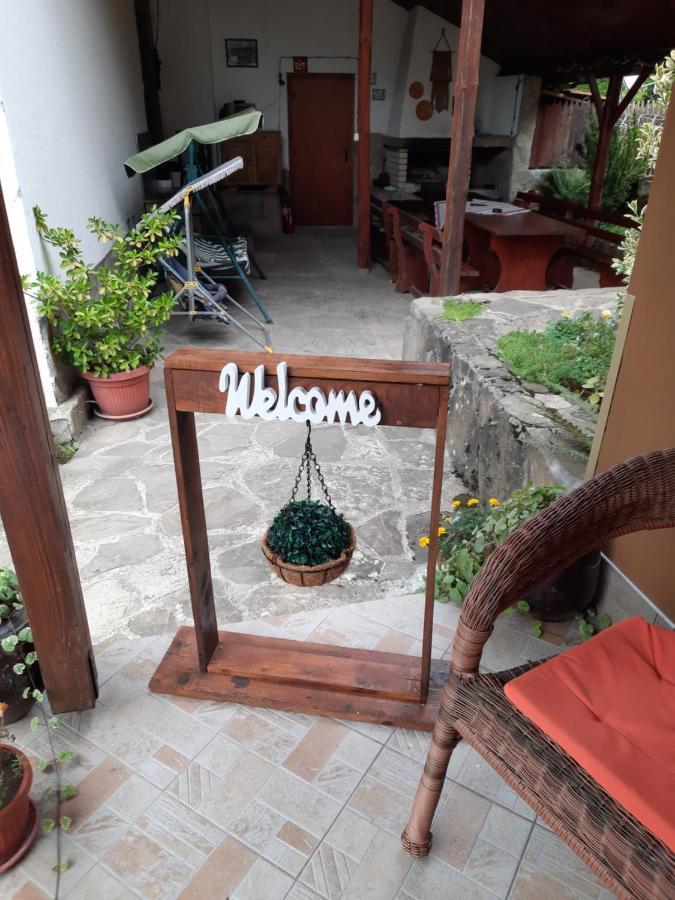 Guest House Lazar Raykov Ribarița Exterior foto