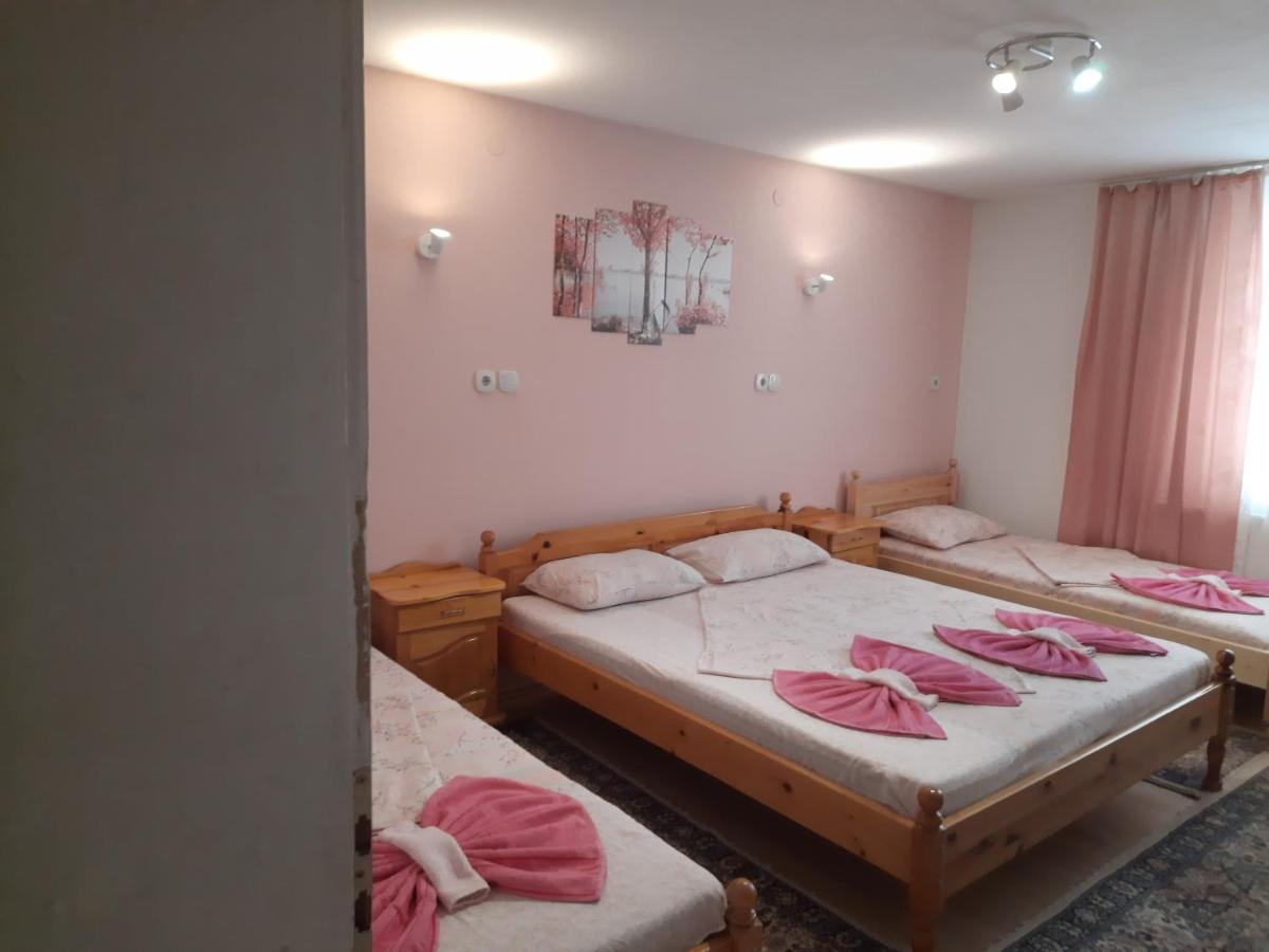 Guest House Lazar Raykov Ribarița Exterior foto