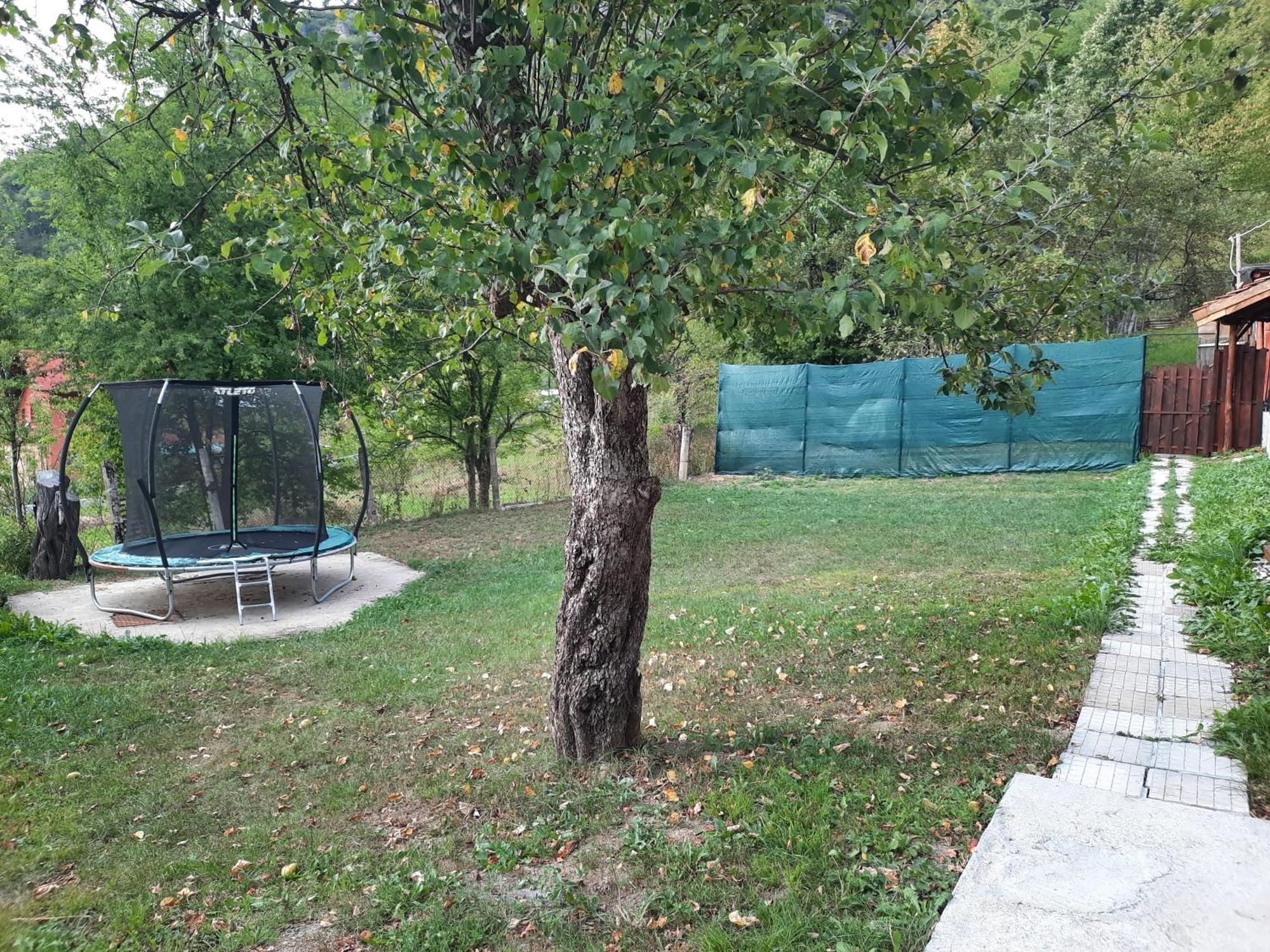 Guest House Lazar Raykov Ribarița Exterior foto