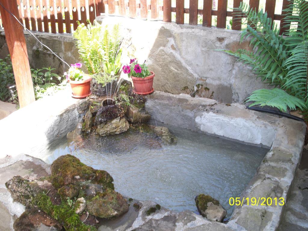Guest House Lazar Raykov Ribarița Exterior foto