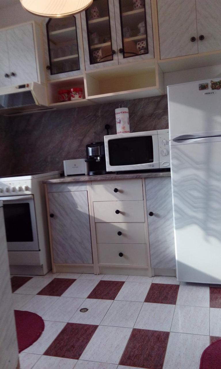 Guest House Lazar Raykov Ribarița Exterior foto